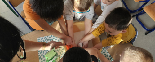 PROJEKT EDUKACYJNY "SENSORYCZNA TĘCZA"- SÓWKI