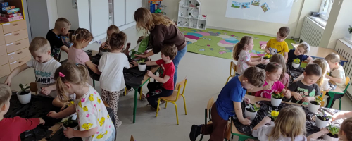 SADZIMY KWIATY- PSZCZÓŁKI